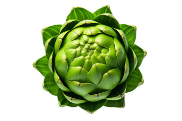Fototapeta premium Verdant Symphony: Artichoke Flower Dance on a White or Clear Surface PNG Transparent Background..