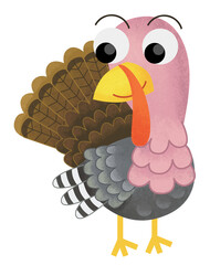 Cartoon funny cheerful farm animal bird turkey standing and smiling isolated illustration for children