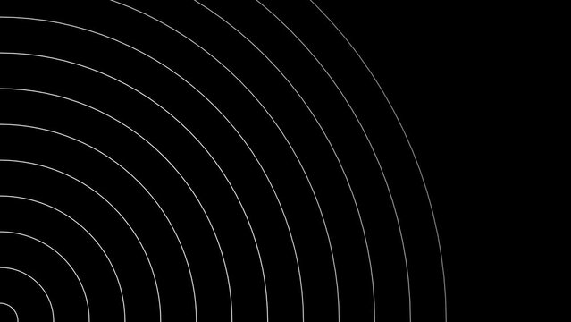 Dynamic Concentric Radio Waves Animation. Sound Waves. Circle Wave. 4K