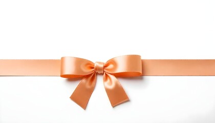 Ribbon isolated on white Background