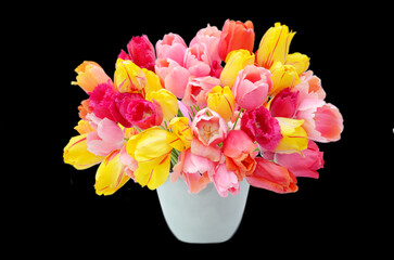Multicolored tulips in a vase, isolated on transparent background, colorful tulips