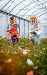 Two women working in the flower greenhouse selecting roses for pollination to create a new variety.