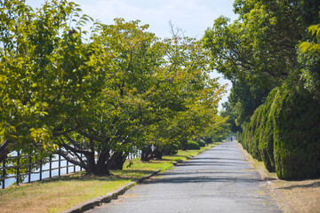 浜寺公園の風景