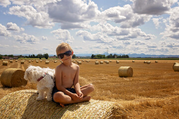 Beautiful blond child, boy, sitting on haystack with his sweet little maltese pet dog. Amazing...