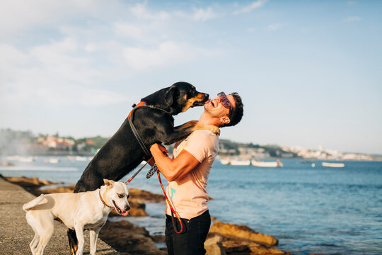 Cheerful man wearing sunglasses playing with dogs at beach against sky