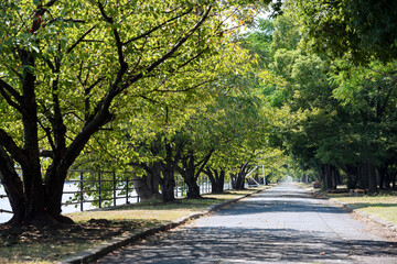 浜寺公園の風景