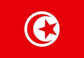 amazing Tunisian flag illustrator country flags