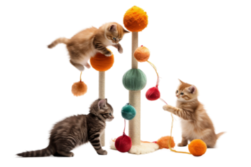 Whimsical Feline Frolic: A Charm of Kittens Engaged in Play on a White or Clear Surface PNG Transparent Background..