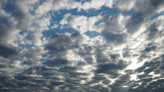 Altocumulus, middle-altitude cloud genus, stratocumuliform physical category, characterized by globular masses or rolls in layers or patches being larger and darker. Airmass instability. Real time