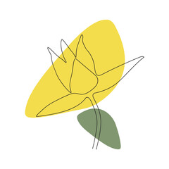 a simple drawing drawn with one continuous line of one forest tulip flower outline against a background of yellow and green spots