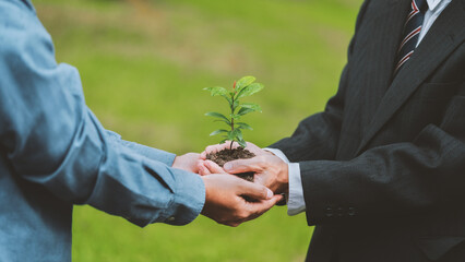 Collaboration between the government, the private sector and the public to help plant trees...