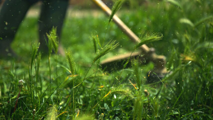 Lawn trimming with handheld string trimmer grass cutter and mower