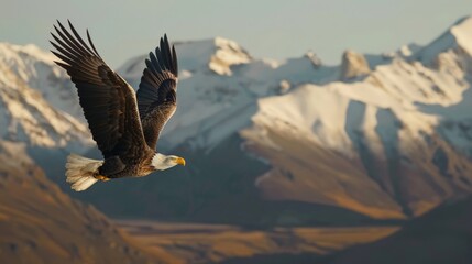 A bald eagle is flying over a snowy mountain range. The eagle is soaring high in the sky, with its wings spread wide. The scene is serene and majestic, showcasing the beauty of nature