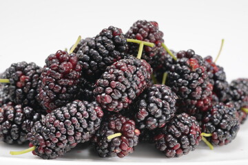 マルベリー　桑の実