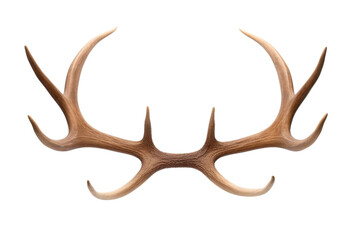 Majestic Antlers in Ethereal White on a White or Clear Surface PNG Transparent Background..