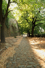 Cobble stone path leading up to the Upper Petrovaradin Fortress along one of its outer walls, Novi Sad, Serbia