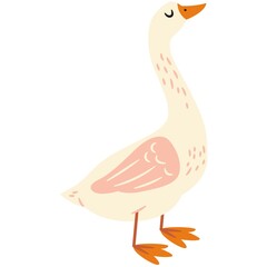 Farm Animal Goose