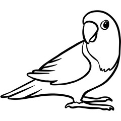 Parrot Bird Animal Drawing