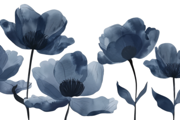 Dark blue flowers isolated on transparent background