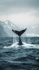 Fototapeta premium a whales tail on the ocean with mountains in the background