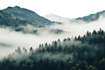 Enshrouded Majesty: A Fog-Covered Mountain Amidst Whispers of Nature. on a White or Clear Surface PNG Transparent Background..