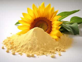 sunflower lecithin powder on a white background with a sunflower in the background