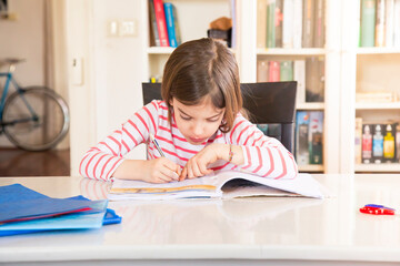 Little girl doing homework