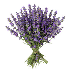 Fototapeta premium a bouquet of lavender on a white background, perfect for creating a transparent image