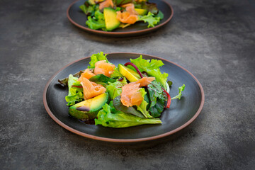 Plates of green salad with corn salad, arugula, spinach, red leaf lettuce, beetroot leaves,avocado, salmon meat and balsamic vinegar