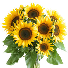 Fototapeta premium a bouquet of sunflowers on a white background, perfect for creating a transparent image