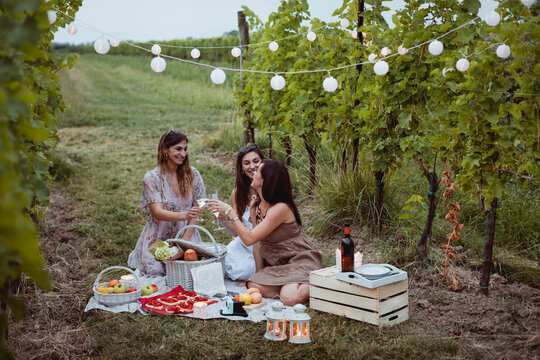 Friends having a summer picnic in vineyard