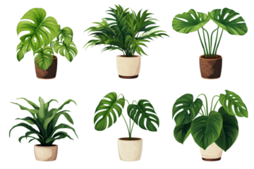 Whimsical Garden: A Collection of Potted Plants on a White or Clear Surface PNG Transparent Background..