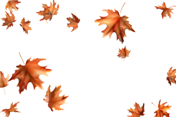 Flying autumn maple leaves isolated on transparent background