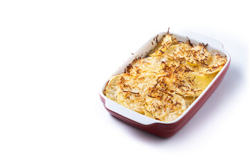Potato gratin baked with cream and cheese isolated on white background. Copy space