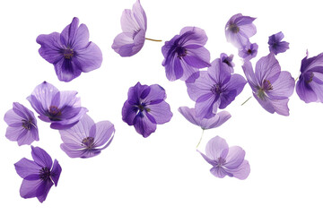 Flying purple flowers isolated on transparent background