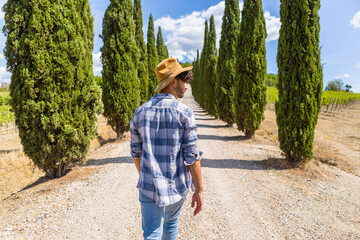 Italy, Tuscany, man walking on a road with cypresses