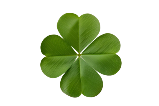 Four leaf clover isolated on transparent background