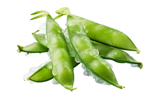 The Towering Pea Pod on a White or Clear Surface PNG Transparent Background..