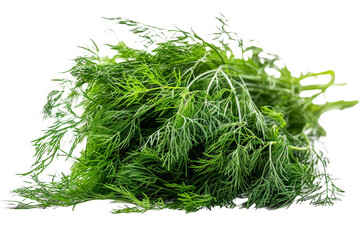 Fresh dill isolated on transparent background