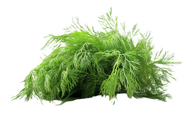 Fototapeta premium Fresh green grass isolated on transparent background