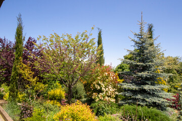 Garden in house yard