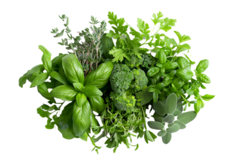 Fresh herbs isolated on transparent background