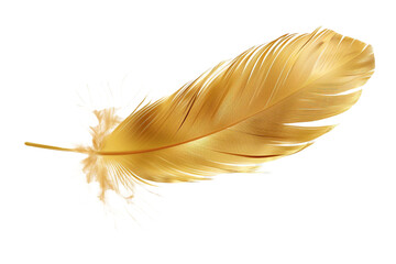 Gold feather isolated on transparent background