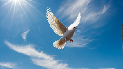 Fototapeta premium White dove in flight against the blue sky. Symbol of peace, goodness and purity