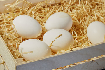 Chicken eggs in a wooden box, chicken eggs in a wooden box with straw, large white chicken eggs, closeup