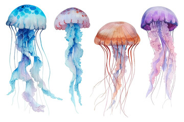 Set of colorful jellyfish swimming marine creatures watercolor vector Illustrations © Pickoloh