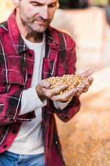 Farmer with grains of maize in hand