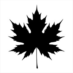 Black maple leaf silhouette isolated on white background. Maple leaf icon vector illustration design.