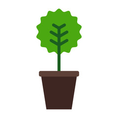 Myrtus Flat icon