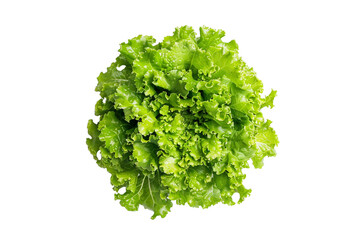 Fototapeta premium Green lettuce top view isolated on transparent background